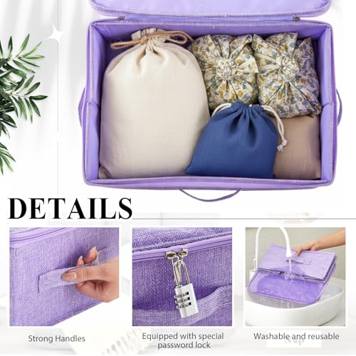 Briwooody Discreet Lockable Toy Bag,Purple,15 X 10 X 6.3 In - color: Purple, size: 15 x 10 x 6.3 Inch