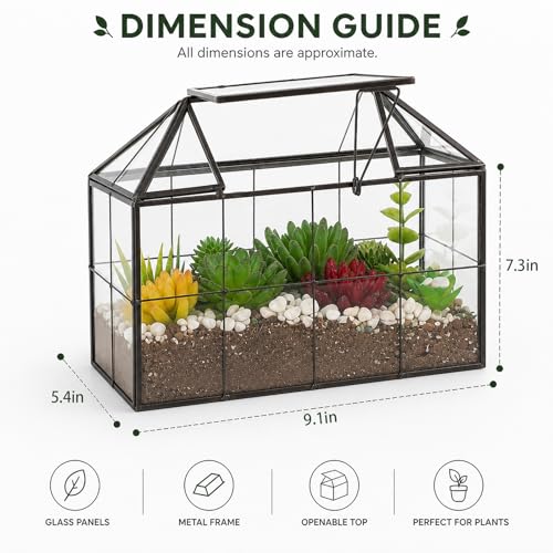 Ferrisland Glass Terrarium Greenhouse House Shape Display Box Planter for Succulents Plant Terrarium Container Mordern Tabletop Decor Gardern DIY Kit - size: 9.1"L x 7.3"H 5.4"W