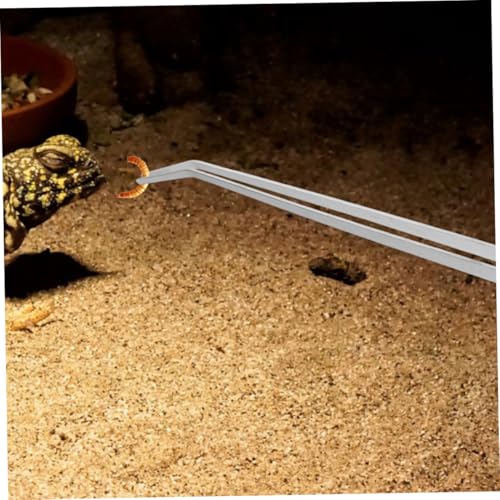 Heavy-Duty Stainless Steel Reptile Feeding Tongs Long Handle Tweezers for Aquatic and Terrarium Use Angled Design for Precision Feeding for Lizards and Snakes