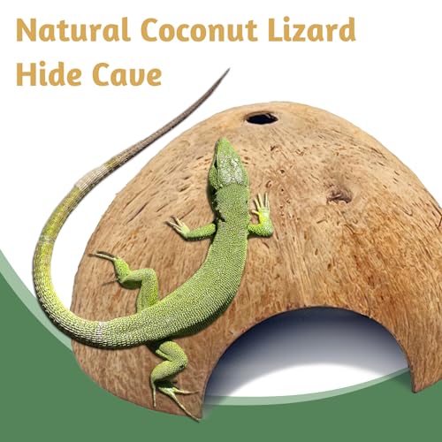 PINVNBY 4 PCS Natural Coconut Reptile Hideouts Lizard Coco Hut Hermit Crab Hut Aquarium Fish Hide Cave Spider Snail Climber Toys - size: 4 PCS Smooth Surface