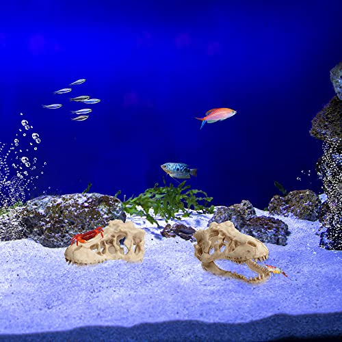 Fish Tank Decorations Dinosaur Skull Decor Resin Aquarium Decoration Accessories for Small Betta Fish, Hermit Crab Hideout Caves, Reptile House Ornament