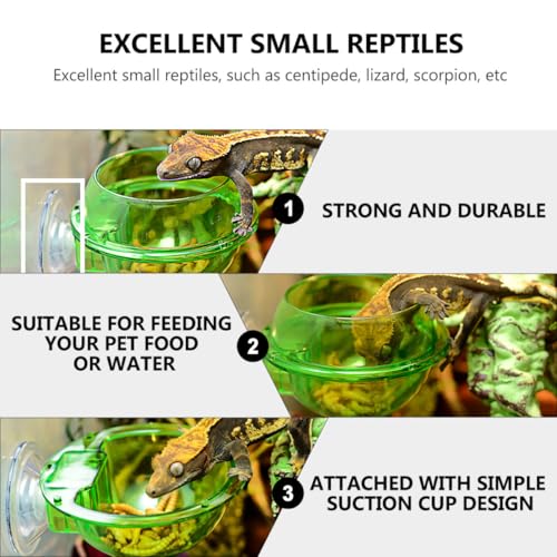 4pcs Reptile Feeder Bowls with Suction Cups, Wall-Mounted Lizard and Gecko Feeding Dish Set, Anti-Escape Terrarium Water and Food Basin for Chameleons and Small Reptiles