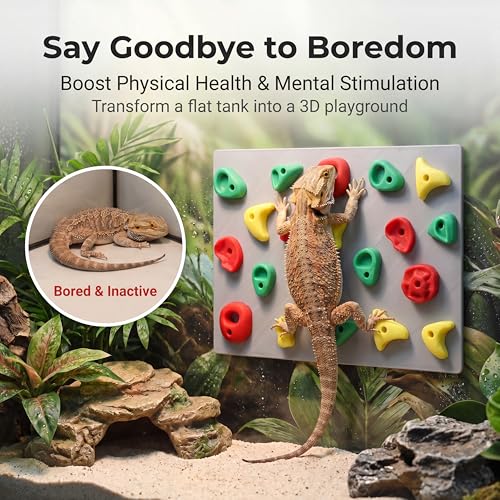 Climbing Wall for Reptiles, 2 Set Plastic Reptile Tank Accessories for Bearded Dragons Leopard Geckos, Bearded Dragon Toys & Wall Climbing Gecko Habitat Decor