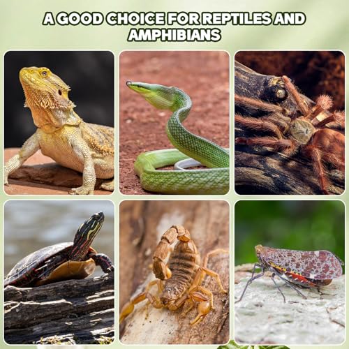 14Pcs Natural Cork Bark Reptile Bark Decor and Hideout 5.11X2.95In Climbing Platform for Leopard Gecko Snake and Lizard Habitat Accessories