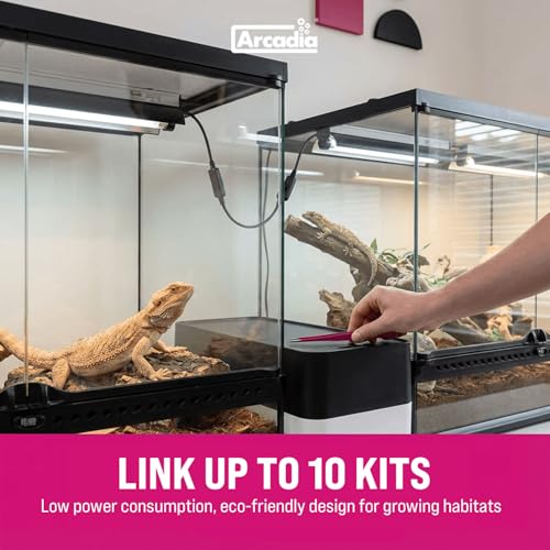 Arcadia Pro T5 UVB Kit Dragon 14% UV-B, 34” (39W) - High Output Reptile Light with Reflector, Fittings & Link Cable, UVB for Forest, Tropical & Arboreal Species, Full-Spectrum Lighting for Vivariums
