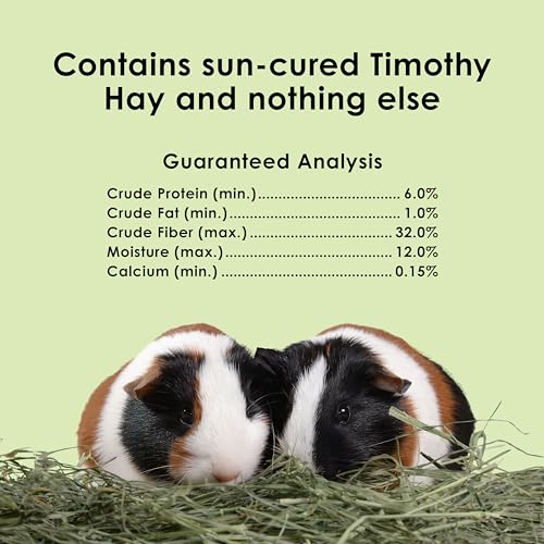 Kaytee Timothy Hay, High Fiber, Grown Specifically for Small Animals, Rabbits, Guinea Pigs, Chinchillas, Ideal Bulk Order for Small Pets, 2 Pounds - size: 2 Pound (Pack of 1)