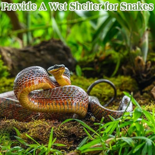 Halatool 3.5OZ Natural Sphagnum Moss for Reptiles Premium Reptile Moss Ideal Terrarium Moss for Box Turtles Hermit Crabs Leopard Gecko Snakes and Hamsters Enclosure - size: 3.5oz