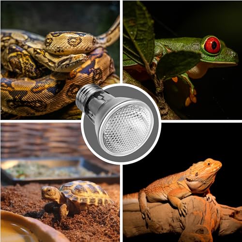 Briignite Reptile Heat Bulb 2 Pack, 75W UVA Reptile Light Bulbs, Dimmable Heat Lamp Bulbs Basking Spot Light Bulb for Reptiles, Amphibian, Bearded Dragon, Lizard, Chicken - color: Cream-75w Th11