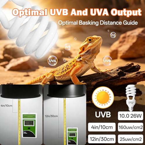 UVB Light for Reptiles 10.0: Bearded Dragon UVB Light for Desert Habitats, 26W UVA UVB Reptile Light Bulb for Lizards Tortoises, Terrarium Compact Fluorescent Lamp-UVB Bulbs with Free UV Sensor Card - size: 6.5INCH-10.0