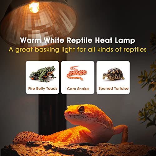 Briignite G9 Heat Lamp Bulbs for Reptile, Mini Reptile Light, Dimmable G9 Mini Heat Bulb Warm White 50W, 2 Pin Base UVA Reptile Heat Lamp, Bearded Dragon Gecko Turtle Lizard, 2 Pack - color: Cream, size: G9 Heat Bulb