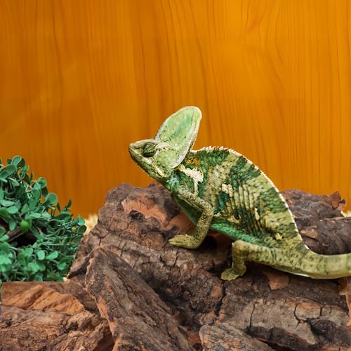 14Pcs Natural Cork Bark Reptile Bark Decor and Hideout 5.11X2.95In Climbing Platform for Leopard Gecko Snake and Lizard Habitat Accessories