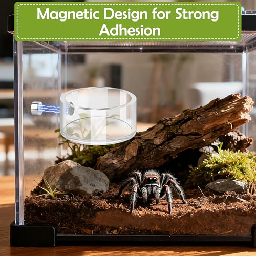 6 PCS Jumping Spider Feeding Dish Set, Anglecai 2 PCS Magnetic Food Dish for Jumping Spider Water Bowl with 1 Tweezer, 1 Dropper, 2 Brushes