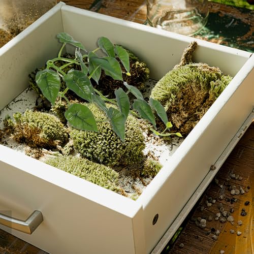 PRETYZOOM Reptile Tank Hanging Fake Plants for Terrarium with Suction Cup, Turtle Habitat Decorations, Lizard Tank Artificial Vine Leaves for Amphibians and Reptiles