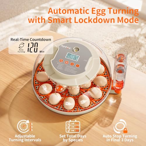 APDOE Egg Incubators for Hatching Eggs, Temperature and Humidity Control, Automatic Egg Turning, Egg Candler, External Water Bottle, Air Vent, for Chicken, Duck & Quail Eggs, 18 Eggs - size: 18 Eggs