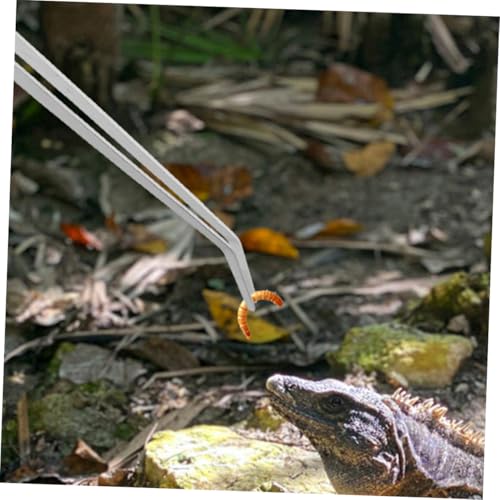 Heavy-Duty Stainless Steel Reptile Feeding Tongs Long Handle Tweezers for Aquatic and Terrarium Use Angled Design for Precision Feeding for Lizards and Snakes