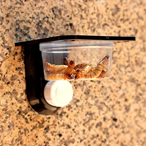 Scicalife Reptile Food Water Bowls with Suction Cups 4-Pack Durable Terrarium Feeding Ledges for Geckos Lizards Fits Glass Acrylic Tanks Space-Saving Easy to Clean