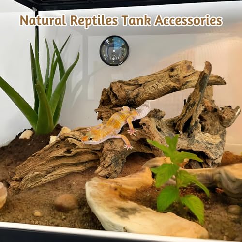 kathson Large Natural Aquarium Driftwood Reptiles Branches Terrarium Ornament Sinkable Wood Decor Trunk Fish Tank Log Habitat Decoration (11"-17") - size: XL:1 Pack(11 - 17 inches)