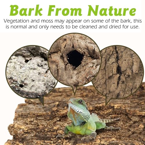 Reptile Cork Bark with Reptile Climbing Decor Thick Wood Branches Snake Habitat Decorations Terrarium Wooden Tree Trunk Ornament