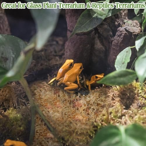 Halatool 6OZ Natural Sphagnum Moss Substrate for Reptiles - Terrarium Bedding with 72H Moisture Retention, Safe for Bearded Dragons, Geckos & Snake Shedding - size: 6 OZ