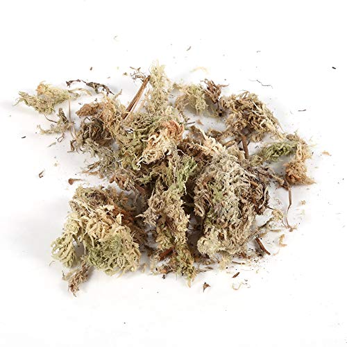 Long Fiber Sphagnum Moss, 6L Sphagnum Moss Potting Mix Soil for Carnivorous Plant, Phalaenopsis Orchid, Sarracenia, Fly Traps, Reptiles