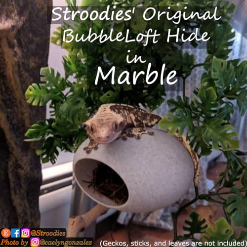 Stroodies Original Bubbleloft Hide for Arboreal Geckos | Especially Adult Cresties | Includes Suction Cups | (Marble)