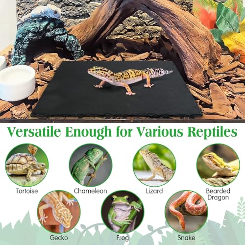 Tfwadmx Reptile Basking Platform, Tortoise Feeding Dish, Natural Rock Reptile Food Bowl Landscape Habitat Decor for Turtle Lizard Bearded Dragon Crested Gecko Snake - size: 1pcs-12"x6"