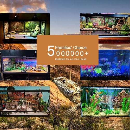Reptile Tank Backdrop Sunset Desert Terrarium Background Saguaro Cacti Silhouetted Against Sunset Sky Rugged Terrain Vibrant Desert Colors Jungle Landscape Tank Backdrop 24x12in - color: Cacti Green, size: 24(W)x12(H)inches/ 60(W)*30cm(H)