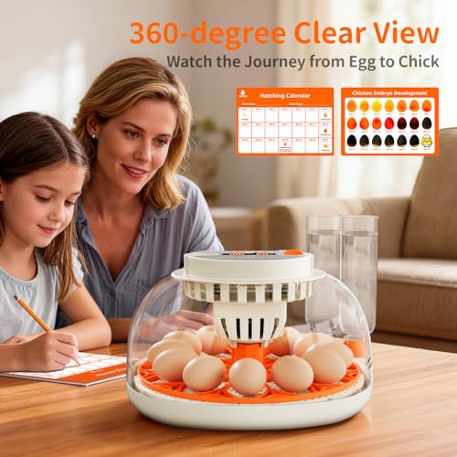 APDOE Egg Incubators for Hatching Eggs, Temperature and Humidity Control, Automatic Egg Turning, Egg Candler, External Water Bottle, Air Vent, for Chicken, Duck & Quail Eggs, 12 Eggs - size: 12 Eggs