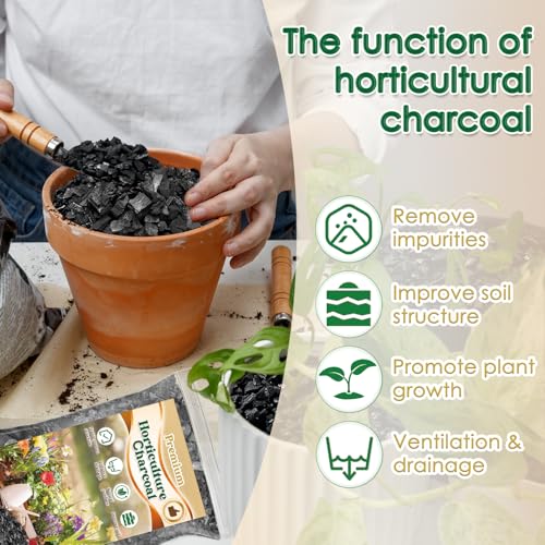Horticultural Charcoal for Plants,Enhance Drainage and Improve Soil,Premium Activated Charcoal for Plants Indoor & Outdoor,Suitable Succulents,Orchids,Cacti,Gardening-1 QT