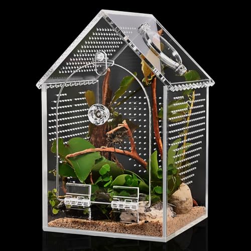 Cycodo Jumping Spider Enclosure,Warp-Proof Seamless Acrylic Tarantula Terrarium,Front Opening Bug Habitat with Feeding Port for Praying Mantis,Hermit Crabs,Snail,Micro Reptile(5" L*5" W*8" H) - size: 5"L * 5"W * 8"H