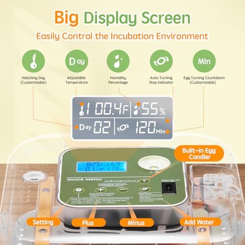 Incubator for Hatching Eggs Automatic Humidity and Temperature Control 12 Eggs Incubator, Digital Display Auto Turner 360° View Egg Candler for Chicken, Duck and Quail Bird Eggs