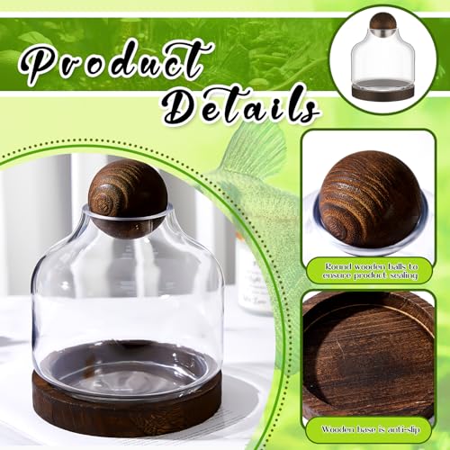 2 Pcs Glass Terrarium Container with Wooden Base and Decorative Ball Lid, 7 Inch DIY Terrarium Jar for Moss, Ferns, Air Plants and Succulents, Mini Indoor Garden Vase for Home Office Desk Decor