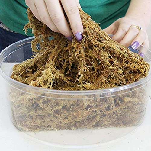 Sphagnum Moss, Dried Spagnum Dry Moss for Reptiles Bedding and Terrarium Pet Supplies, 150g