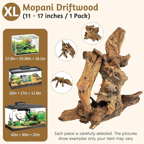 kathson Large Natural Aquarium Driftwood Reptiles Branches Terrarium Ornament Sinkable Wood Decor Trunk Fish Tank Log Habitat Decoration (11"-17") - size: XL:1 Pack(11 - 17 inches)