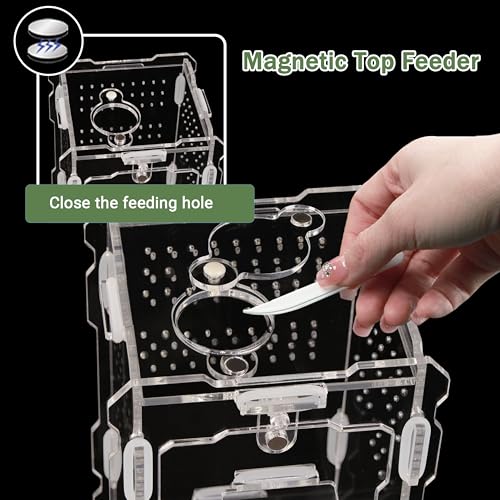 Jumping Spider Enclosure Kit - Acrylic Habitat with Magnetic Lock & Feeding Port - 5.1x3.1x3.1 inch Ventilated Terrarium for Small Pets, Jumping Spiders, Tarantula Slings, Beetles - size: 5.1 x 3.1 x 3.1 inches