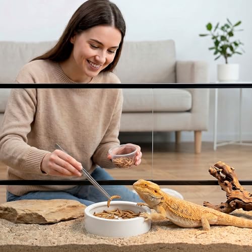 Meanplan 4 Pcs Reptile Bowl Food Dish Reptile Water Food Feeding Dish Ceramic Worm Pet Bowl Anti Escape Feeder for Lizard Anoles Chameleon Bearded Dragon Hermit Crab (4.92 Inch) - size: 4.92 Inch