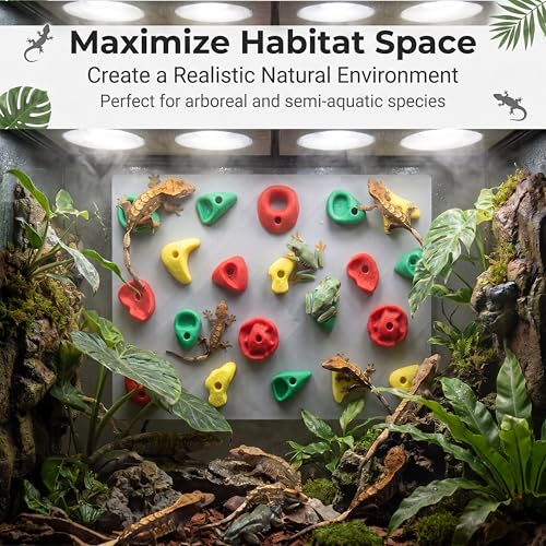 Climbing Wall for Reptiles, 2 Set Plastic Reptile Tank Accessories for Bearded Dragons Leopard Geckos, Bearded Dragon Toys & Wall Climbing Gecko Habitat Decor