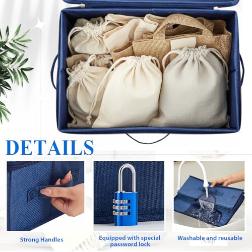Briwooody Discreet Lockable Toy Bag,Dark Blue,15 X 10 X 6.3 In - color: Dark Blue, size: 15 x 10 x 6.3 Inch