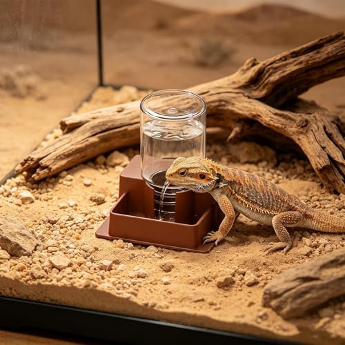 Automatic Waterer for Gecko - Leak-Proof Reptile Feeder, Reservoir | Hydration Tool for Snake Lizard Bearded Dragon Home Garden Yard Backyard Tank Terrarium - color: L