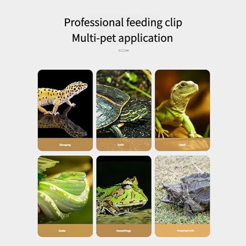 1set/2Piece Steel Reptiles Feeding Tongs Straight & Curved Long Tweezers with Nonslip Tip for Precise Handling Use Feeding Tongs with Rubber Tip