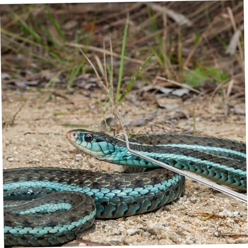 balacoo Retractable Reptile Hook Snake Catching Tool for Moving Handling Snakes Portable Accessory and Reptile Collectors