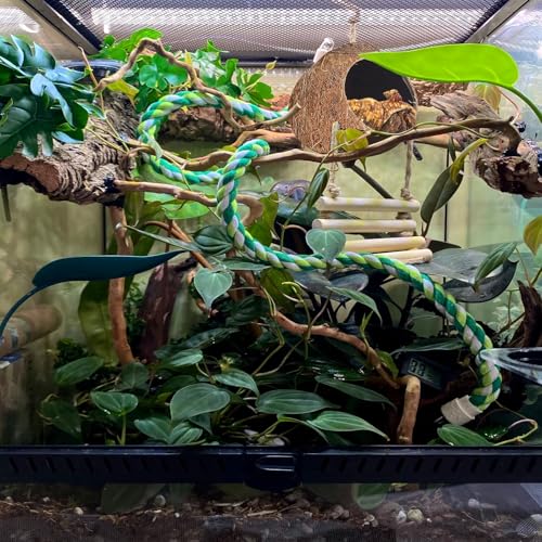 Crested Gecko Coconut Hide with Ladder Shell Natural,Reptile Coco Hut Cave Habitat with Suction Cup Terrarium Décor for Hermit Crab, Lizard, Leopard Gecko Snake Reptiles