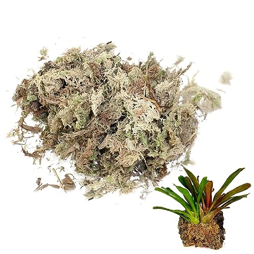 Sphagnum Moss Dried Spagnum Dry Moss for Reptiles Bedding and Terrarium Pet Supplies 150g