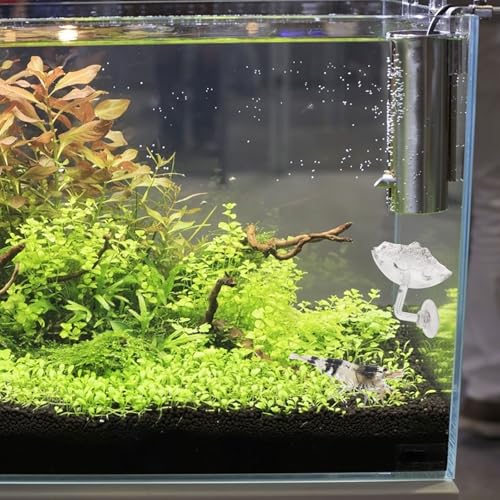 DOITOOL 2pcs Acrylic Shrimp Feeding Basin Fish Feeder Bowl with Suction Cup for Aquarium, Shrimp Food Dish Suitable for Fish and Reptile Tanks
