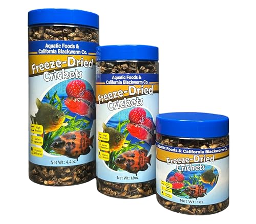 Crickets, Freeze Dried Crickets for Large Tropical Fish, Monster Fish, Reptiles, Turtles, Tortoises, Frogs, Hamsters, Birds, Rodents 6oz Canister - size: 6 Ounce (Pack of 1)