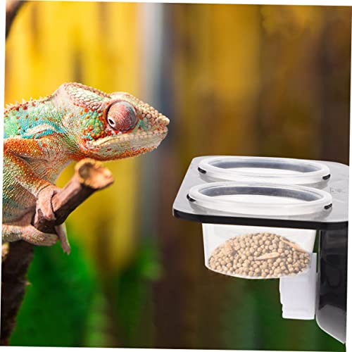 TOYANDONA 1Set Reptile Feeding Ledge with Suction Cup Detachable Food Basin Water Feeder Reptile Tank Supplies for Gecko Lizard Frog