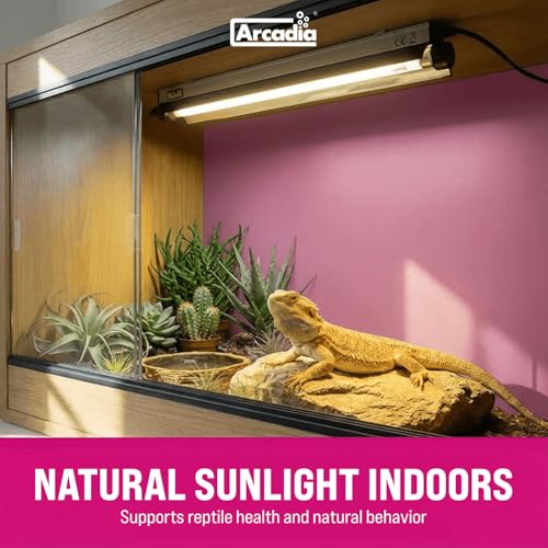 Arcadia Pro T5 UVB Kit Dragon 14% UV-B, 34” (39W) - High Output Reptile Light with Reflector, Fittings & Link Cable, UVB for Forest, Tropical & Arboreal Species, Full-Spectrum Lighting for Vivariums