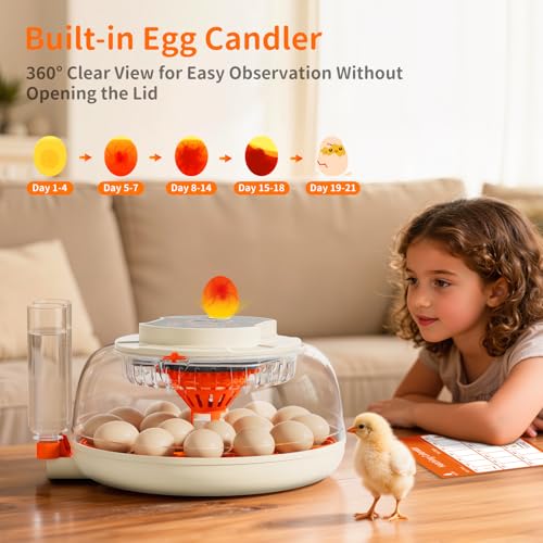 APDOE Egg Incubators for Hatching Eggs, Temperature and Humidity Control, Automatic Egg Turning, Egg Candler, External Water Bottle, Air Vent, for Chicken, Duck & Quail Eggs, 18 Eggs - size: 18 Eggs