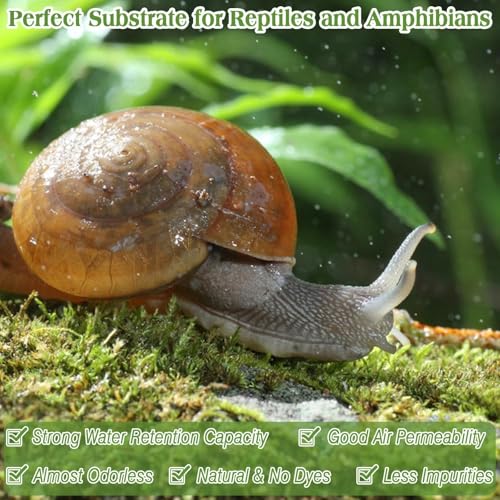 Halatool 3.5OZ Natural Sphagnum Moss for Reptiles Premium Reptile Moss Ideal Terrarium Moss for Box Turtles Hermit Crabs Leopard Gecko Snakes and Hamsters Enclosure - size: 3.5oz
