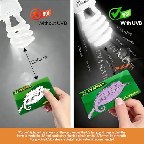 UVB Light for Reptiles 10.0: Bearded Dragon UVB Light for Desert Habitats, 26W UVA UVB Reptile Light Bulb for Lizards Tortoises, Terrarium Compact Fluorescent Lamp-UVB Bulbs with Free UV Sensor Card - size: 6.5INCH-10.0